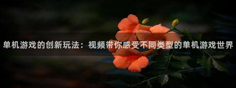 优贝娱乐登陆测速：单机游戏的创新玩法：视频带你感受不同类型的